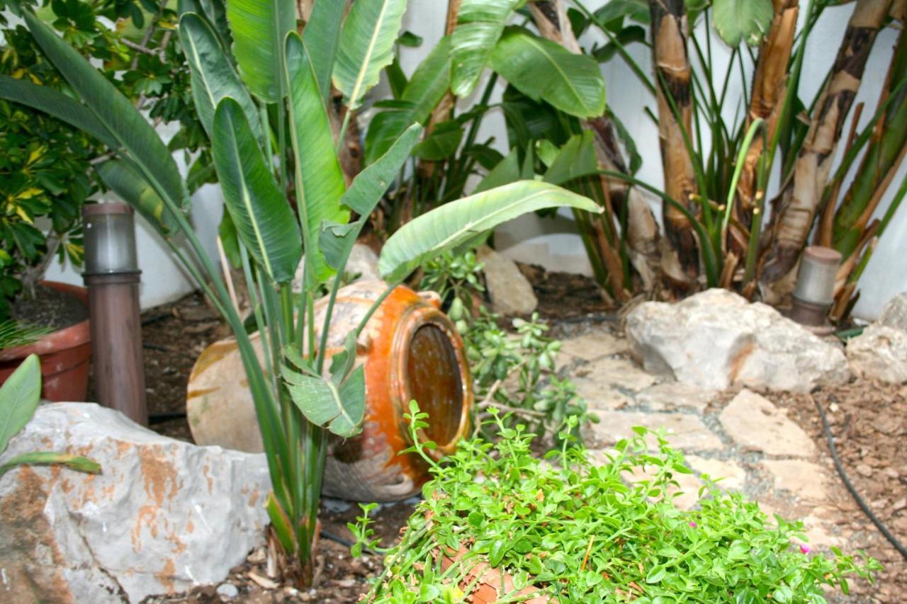 El Pinche De Oro Hotel Benicarlo